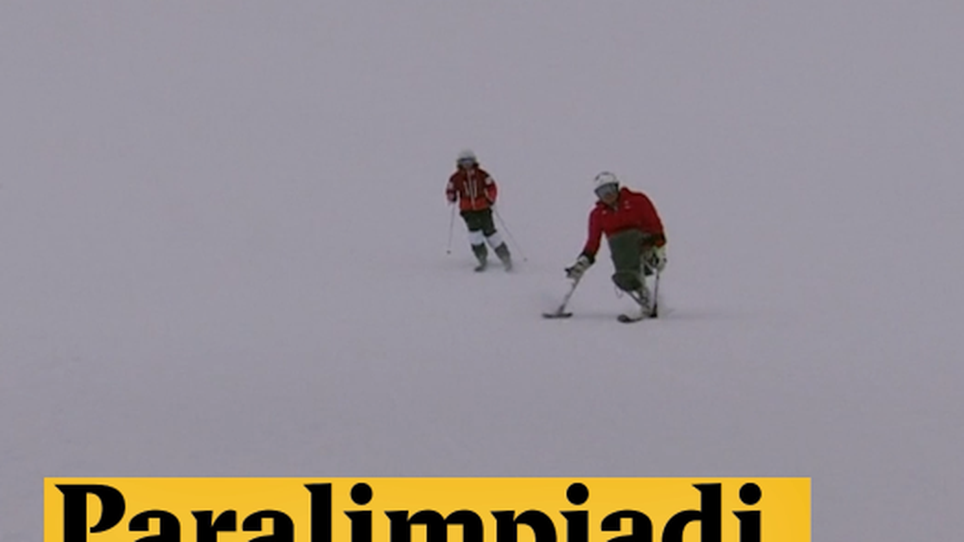 Schermata 2018-03-08 alle 16.22.08.png