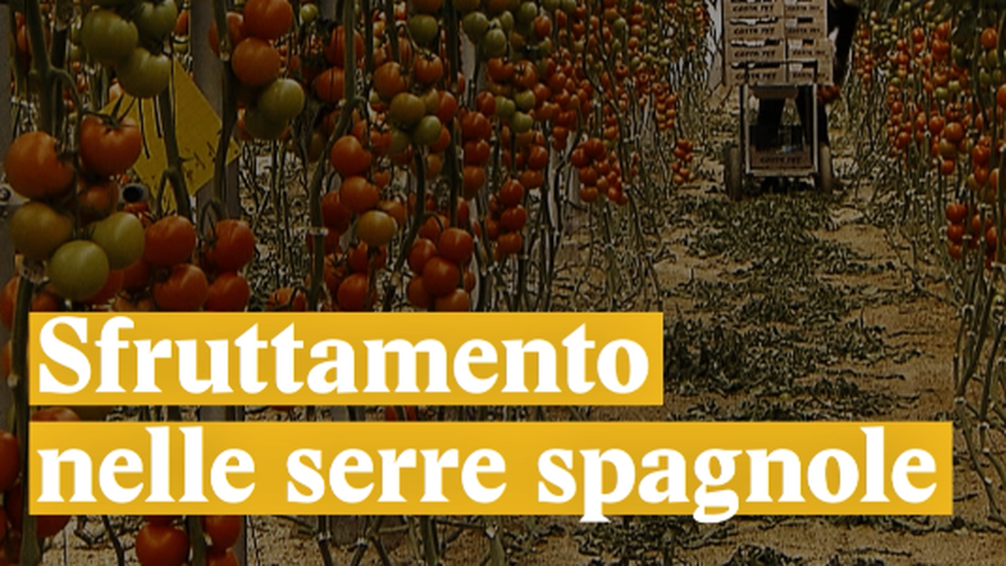 Schermata 2018-03-12 alle 16.42.34.png
