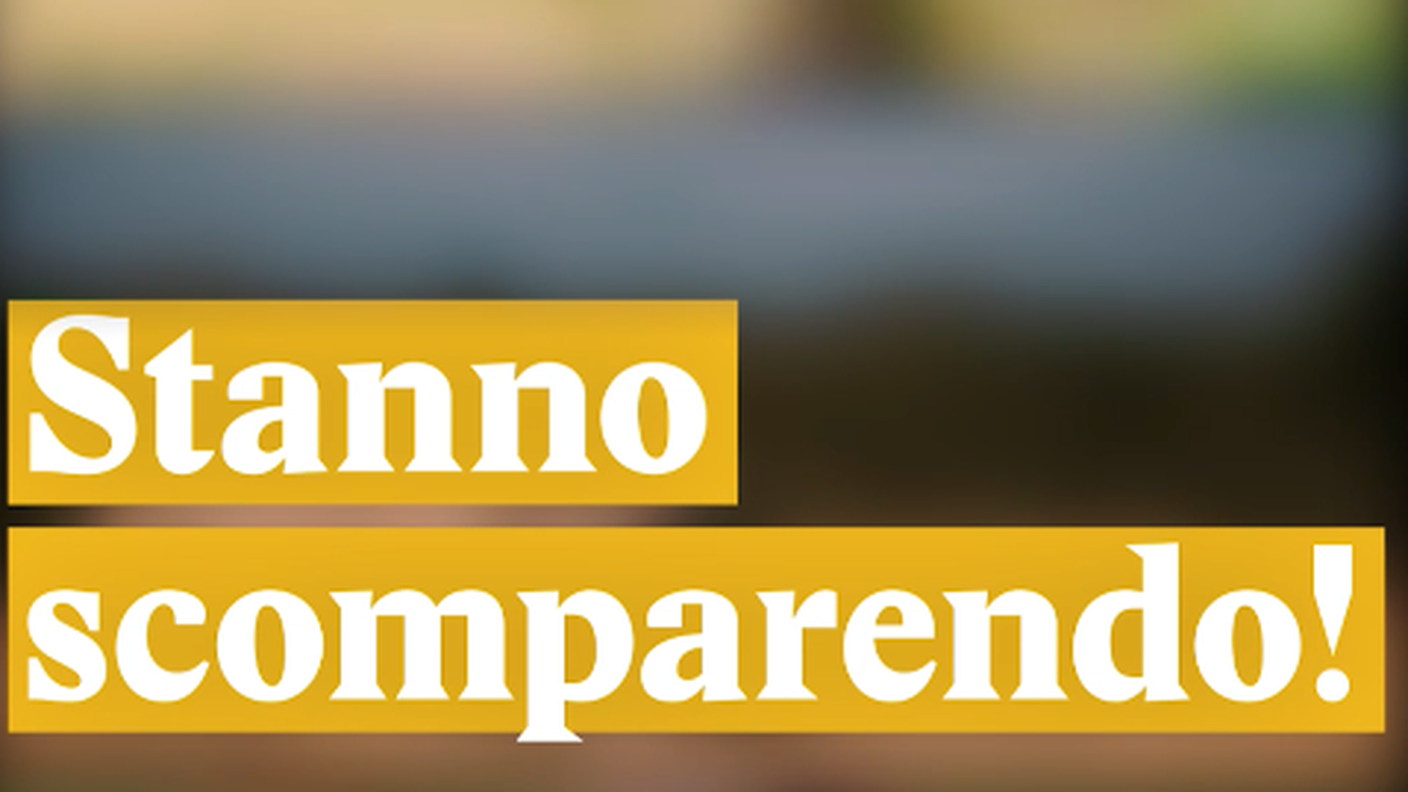 Schermata 2018-03-30 alle 16.36.19.png