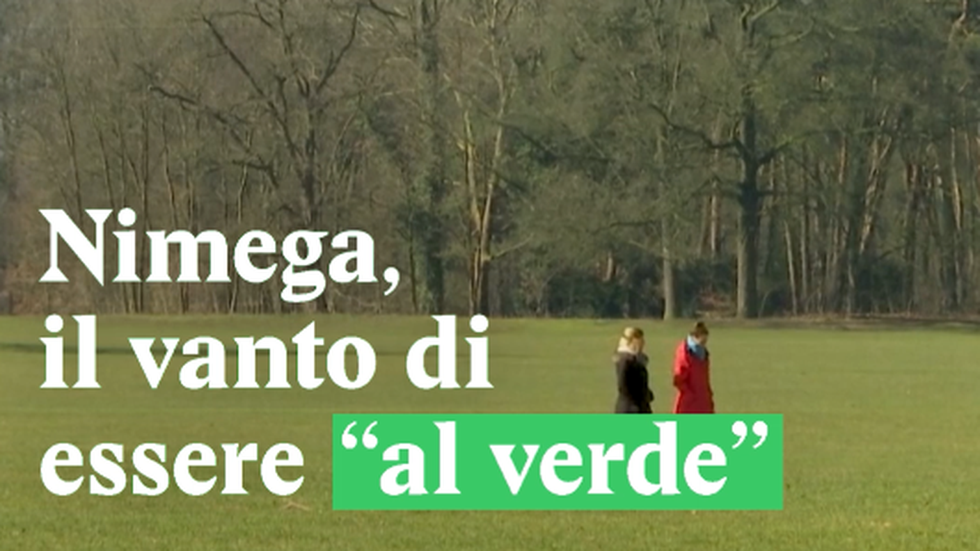 Schermata 2018-03-30 alle 16.36.38.png