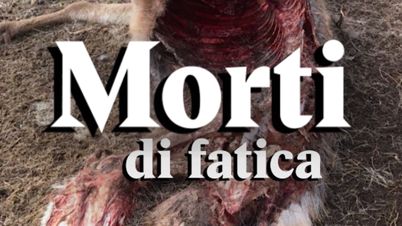 Morti di fatica