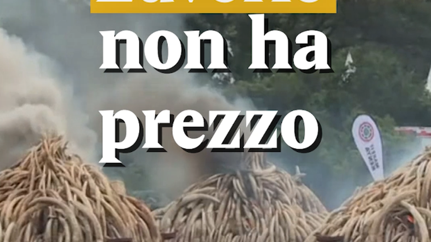Schermata 2018-04-13 alle 19.10.13.png
