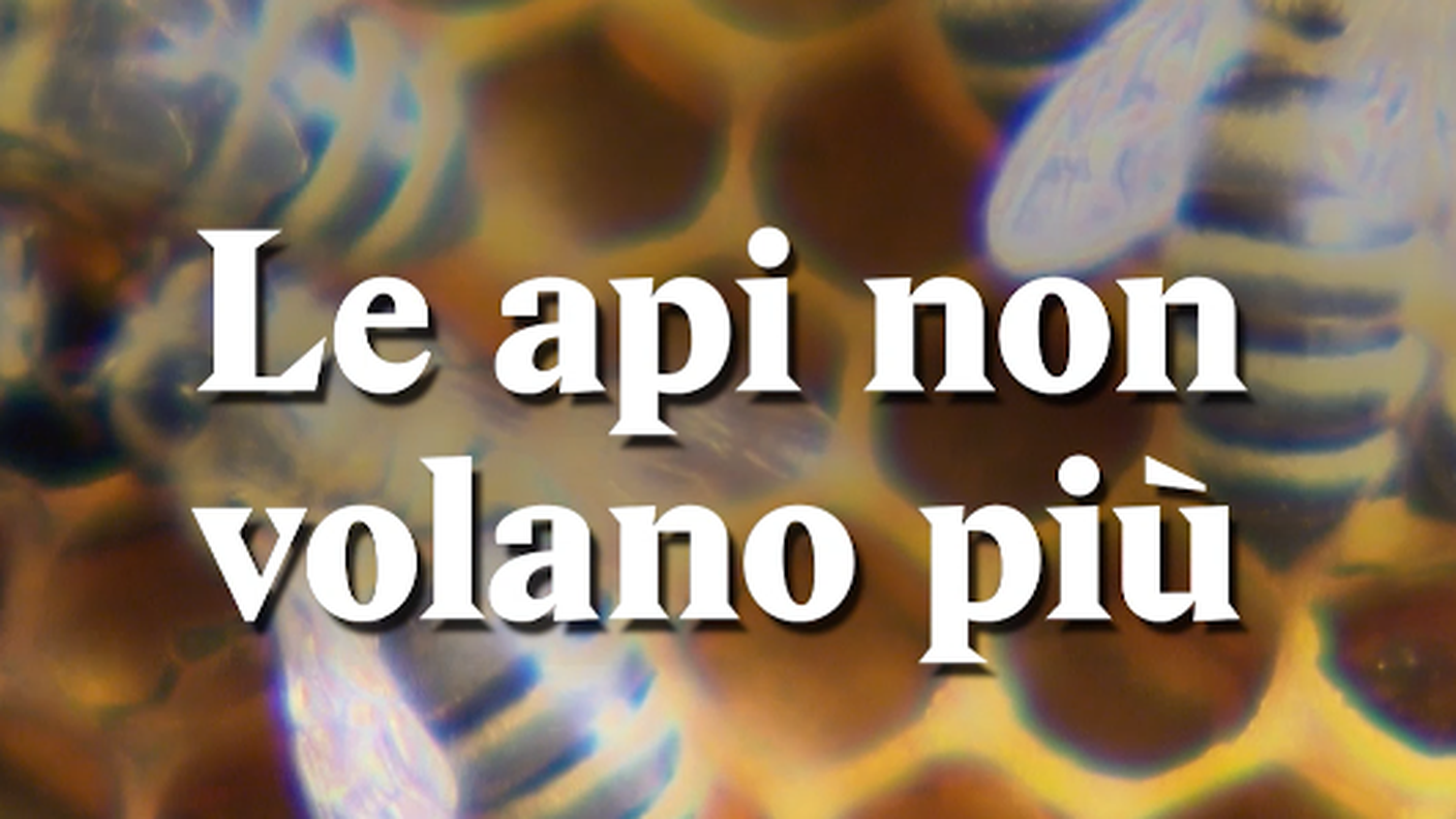 Schermata 2018-04-30 alle 16.41.37.png