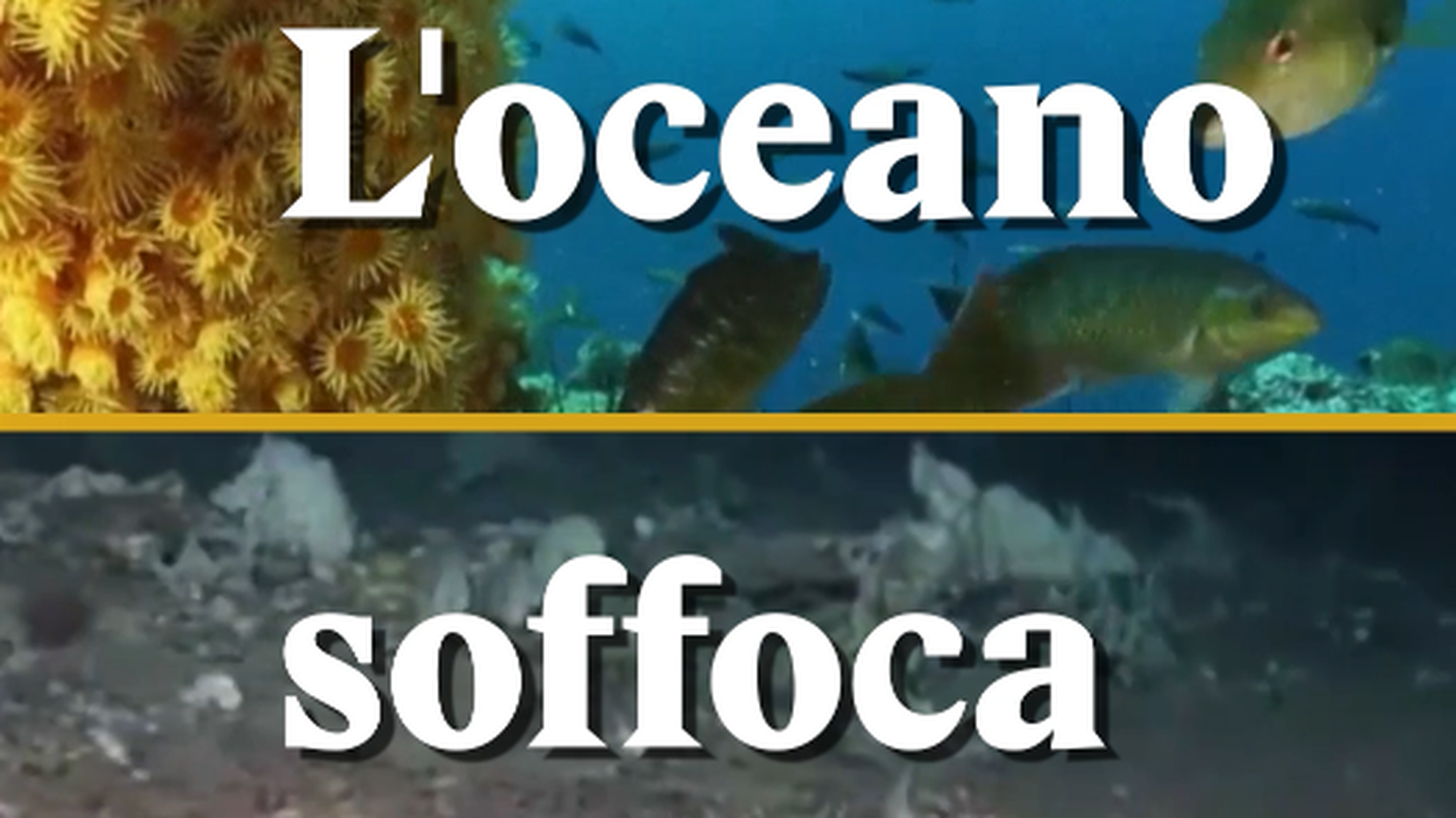 oceano