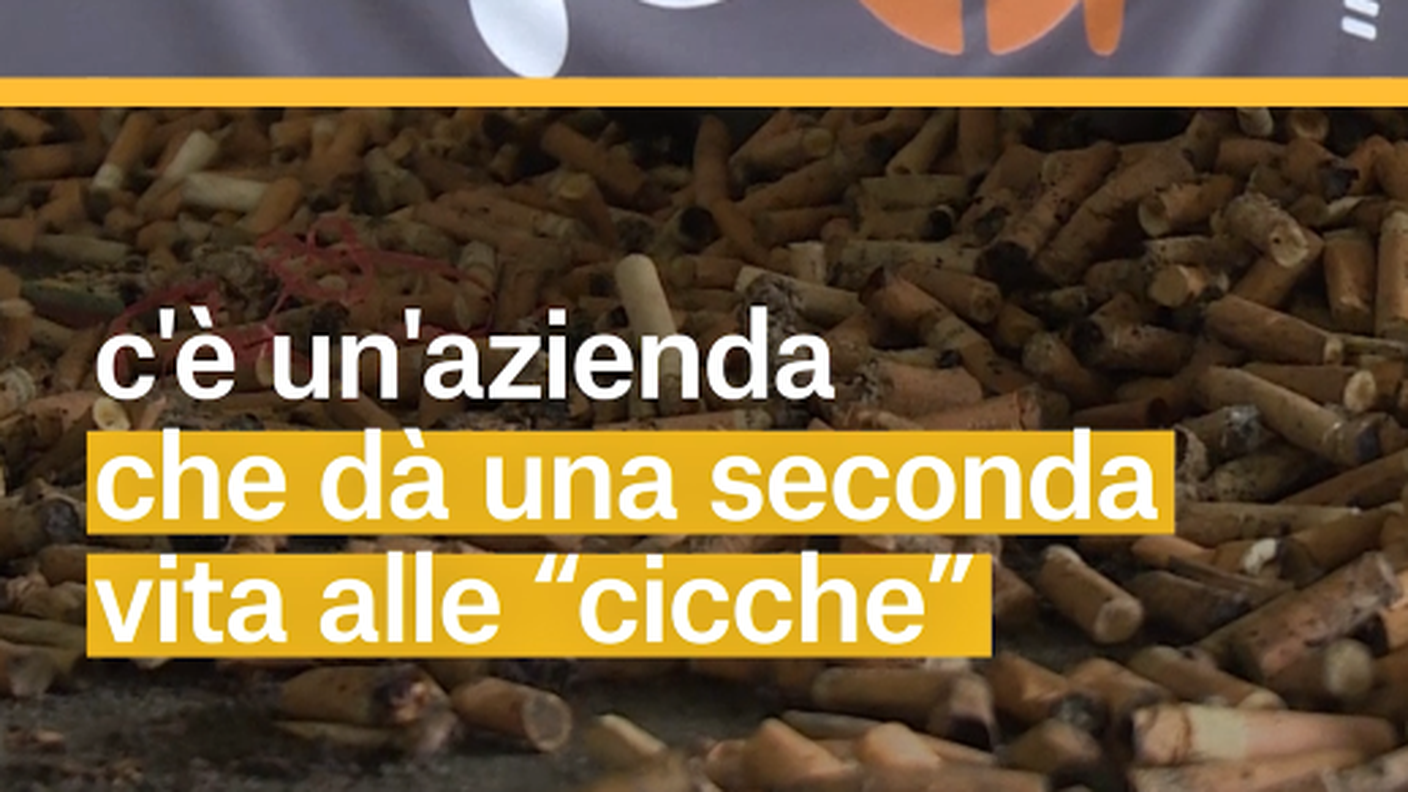 Schermata 2018-06-11 alle 19.41.54.png