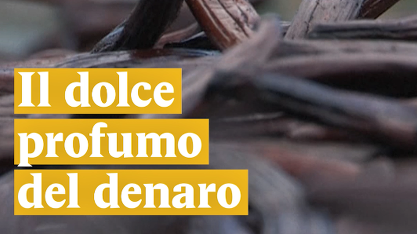 Schermata 2018-06-15 alle 17.12.45.png