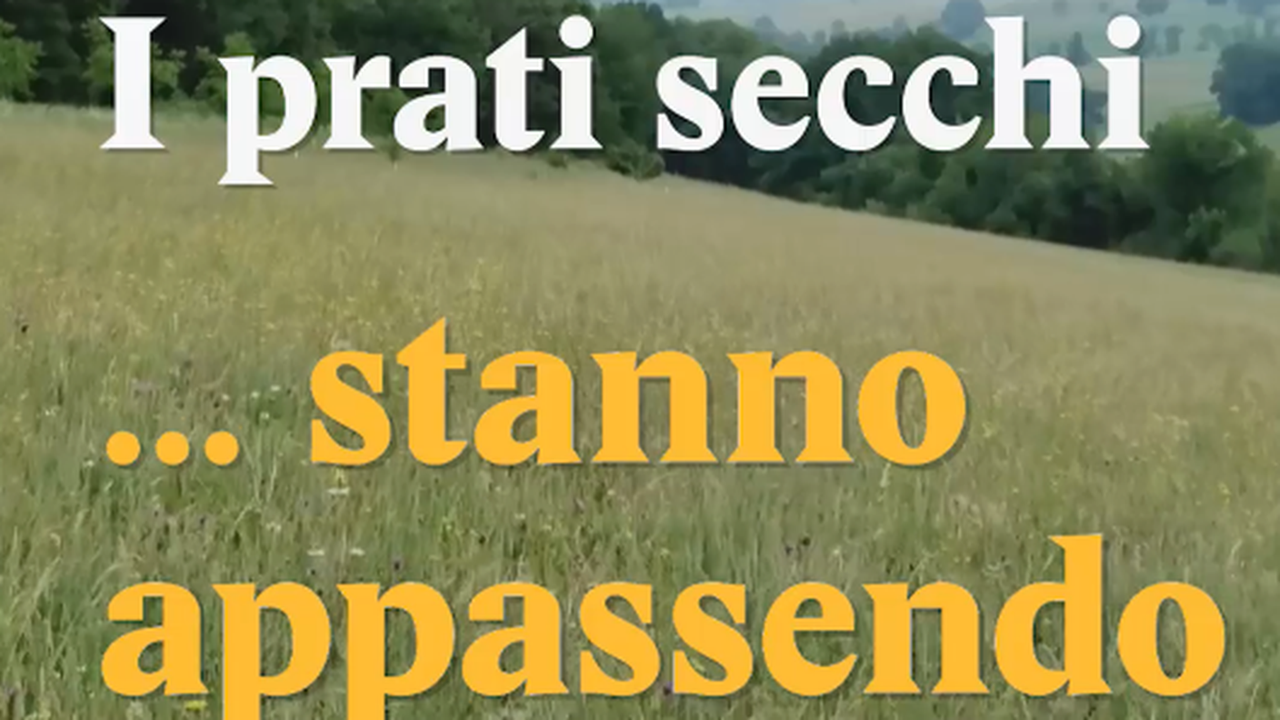 Schermata 2018-07-13 alle 15.52.51.png