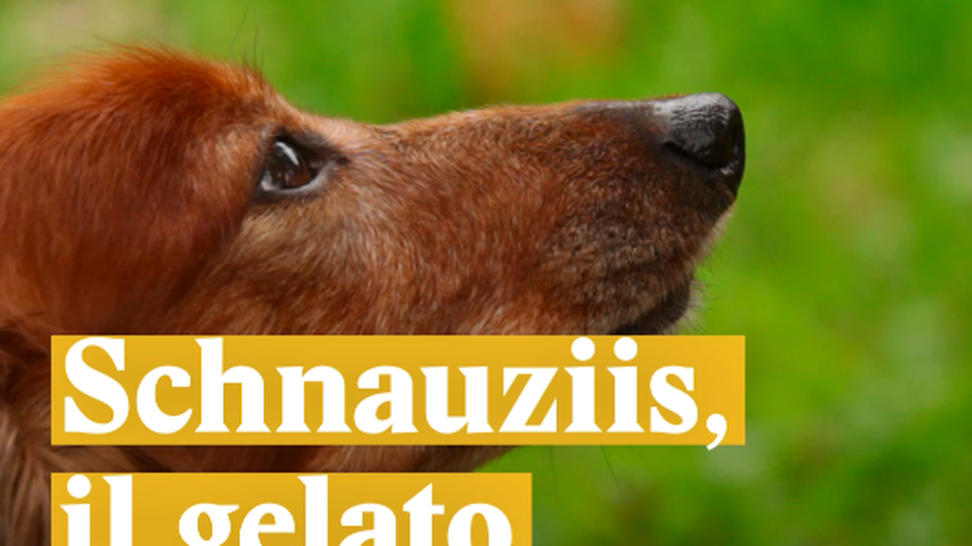 Schermata 2018-08-10 alle 16.13.40.png