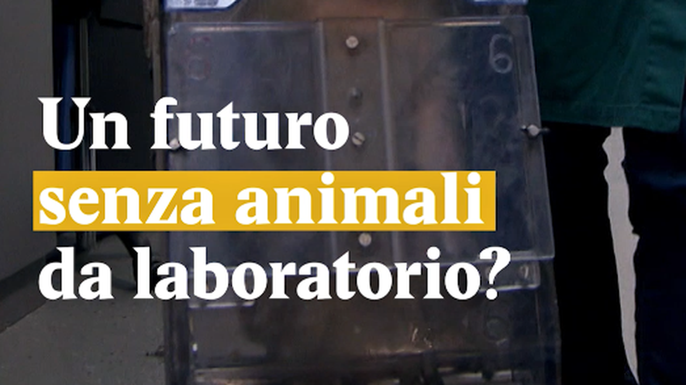 Schermata 2018-08-13 alle 14.17.34.png