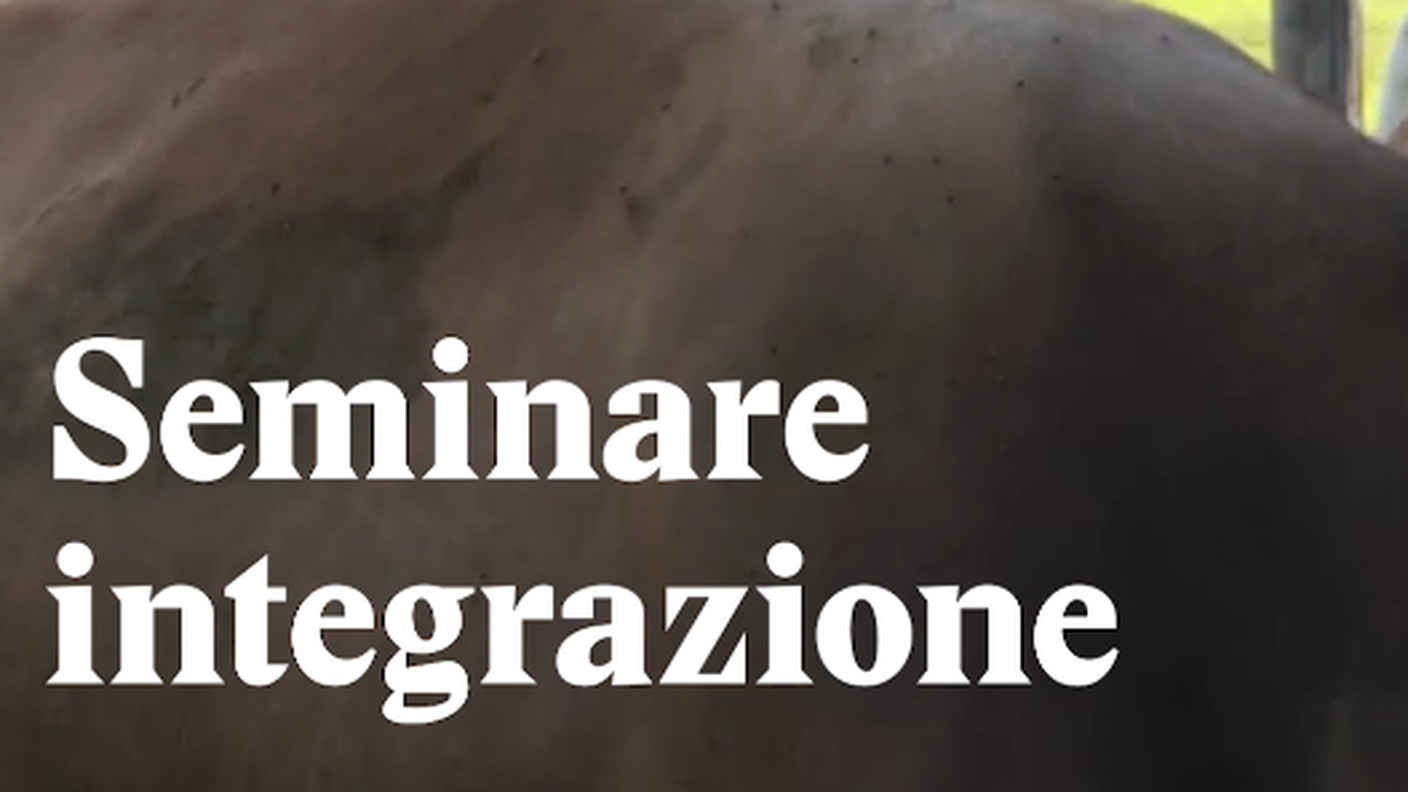 Schermata 2018-08-14 alle 13.49.15.png