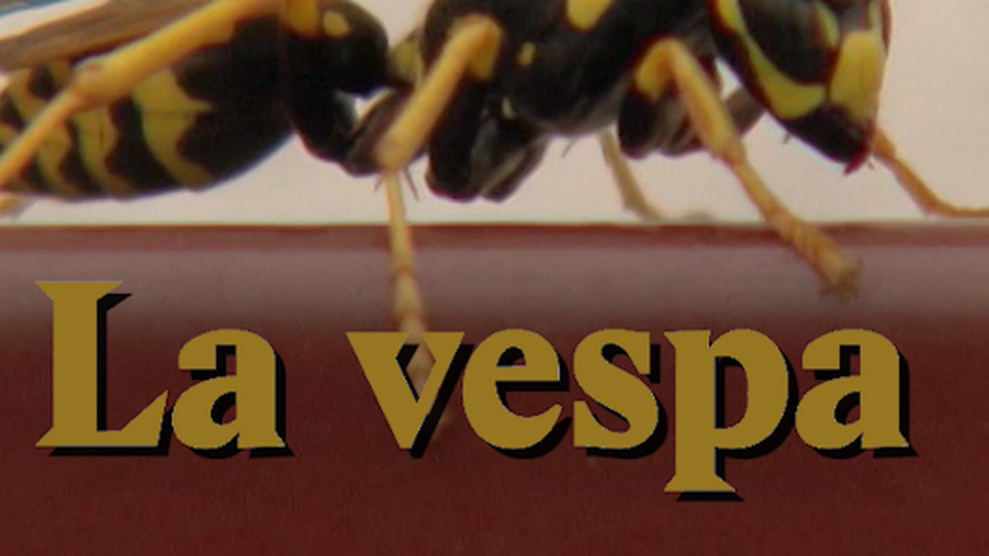 Vespe indesiderate