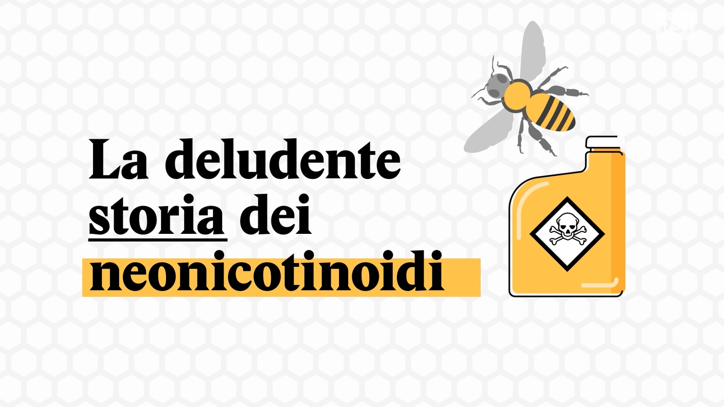 Schermata 2018-09-11 alle 14.54.47.png