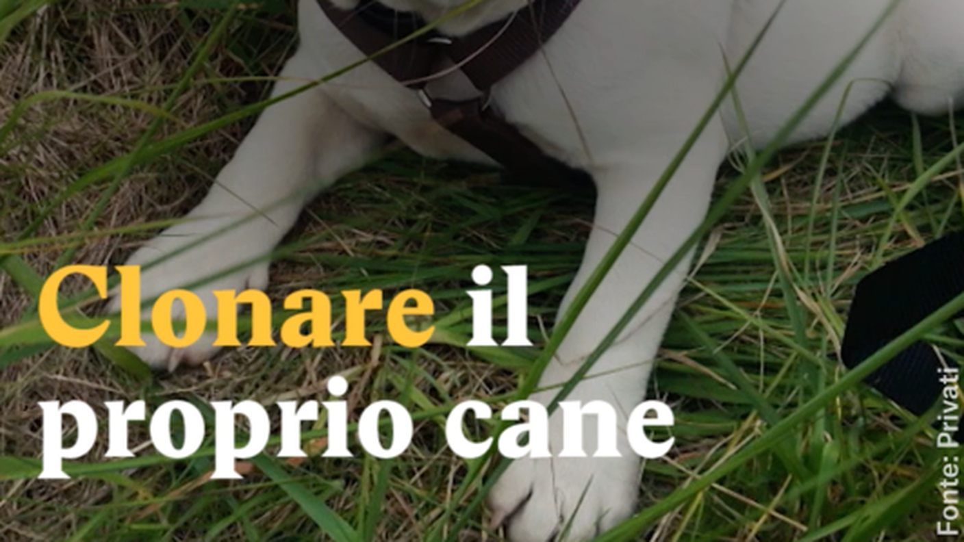 Clonare ilproprio cane