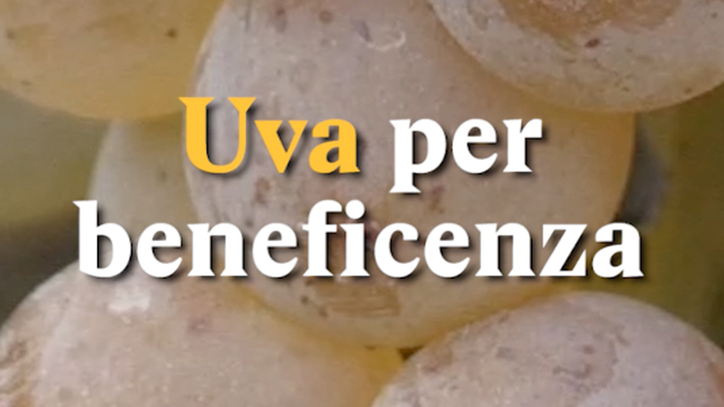 Schermata 2018-11-07 alle 16.32.53.png
