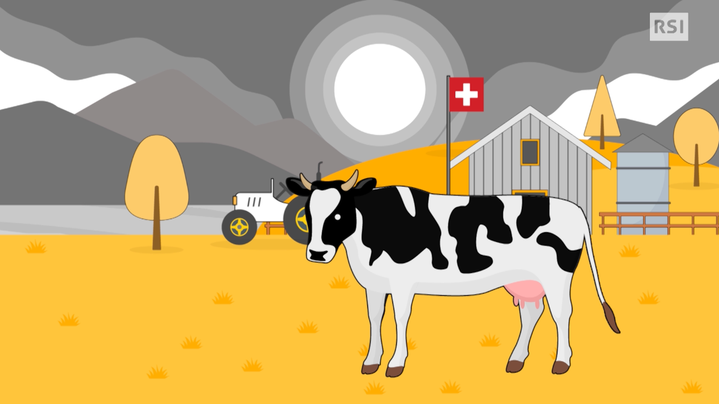 Schermata 2018-11-16 alle 16.47.11.png
