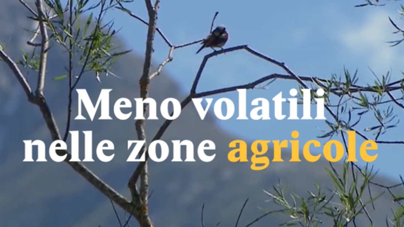 Schermata 2018-11-20 alle 16.09.36.png