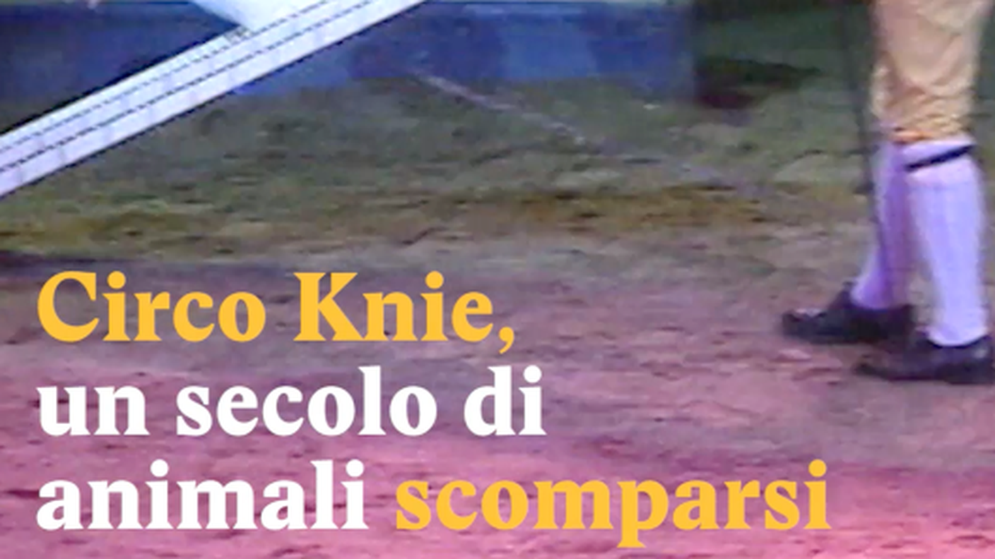 Schermata 2019-03-28 alle 11.29.07.png
