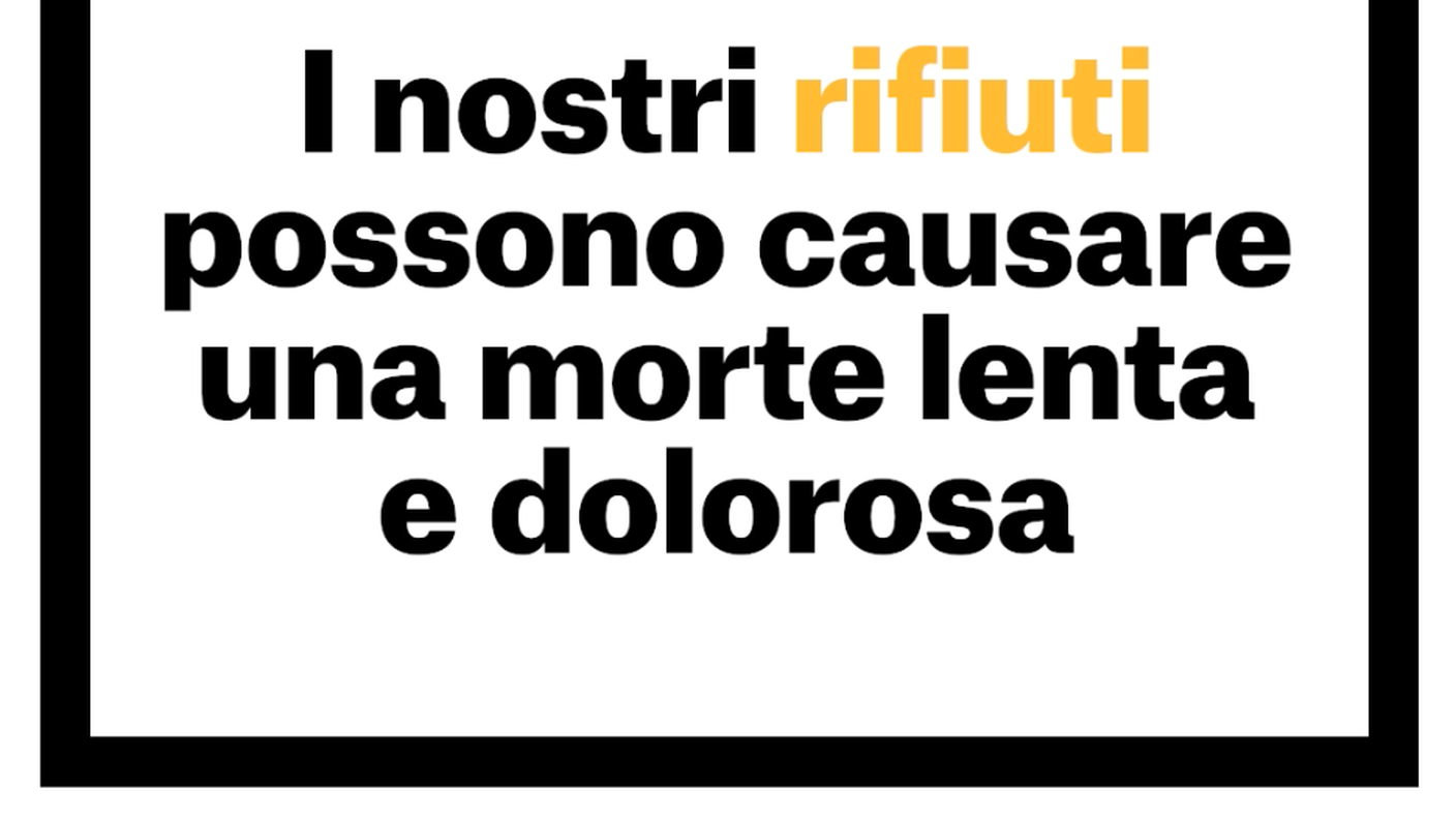 Screen Shot 2019-05-13 at 17.50.01.png