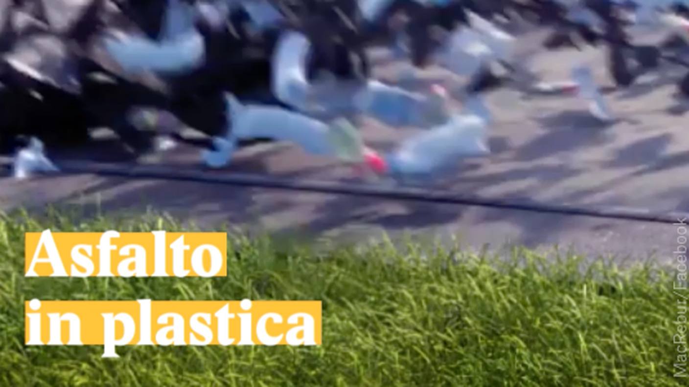 Schermata 2019-06-17 alle 17.48.35.png