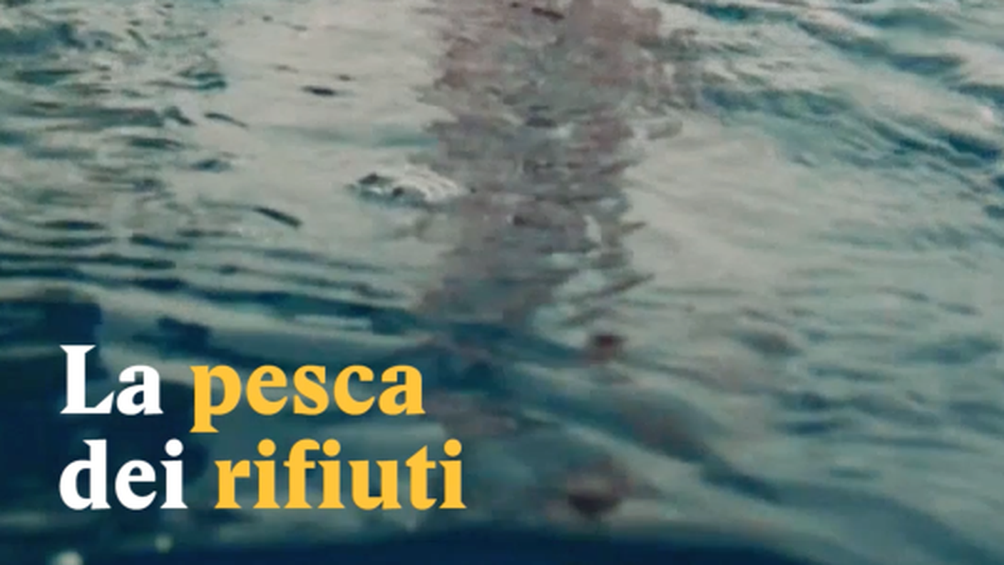 Schermata 2019-07-17 alle 17.31.20.png
