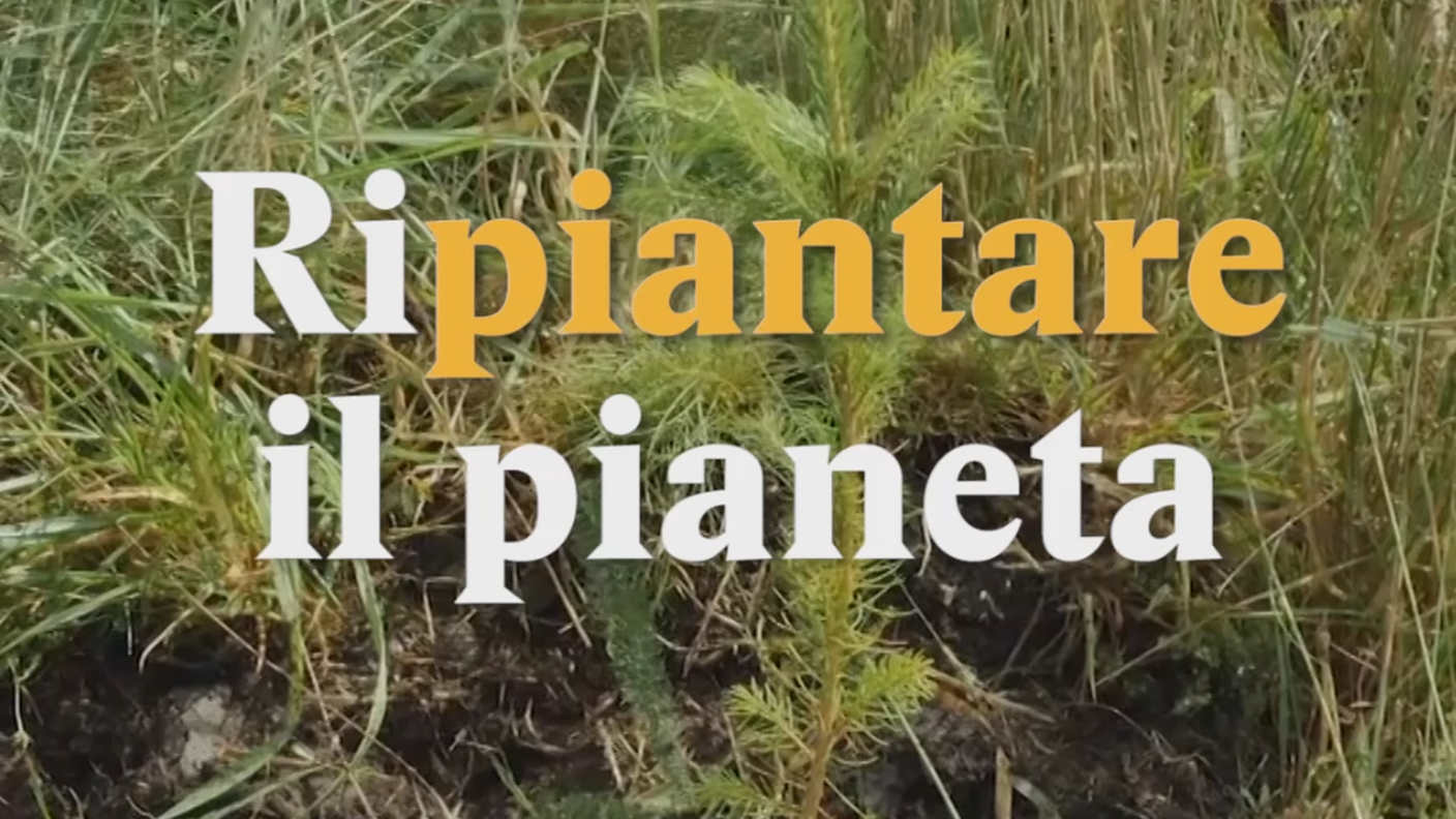 RIPIANTARE IL PIANETA.PNG