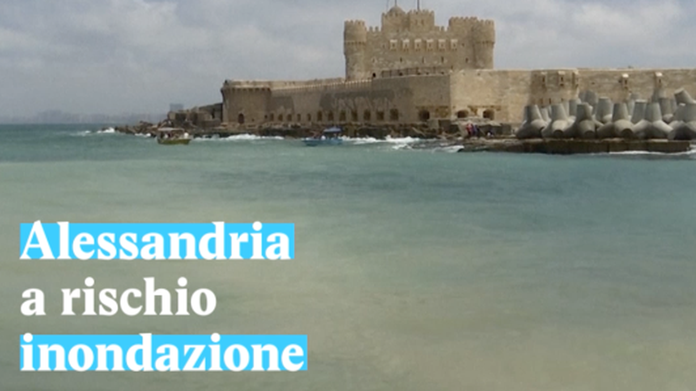 Schermata 2019-09-17 alle 11.52.08.png