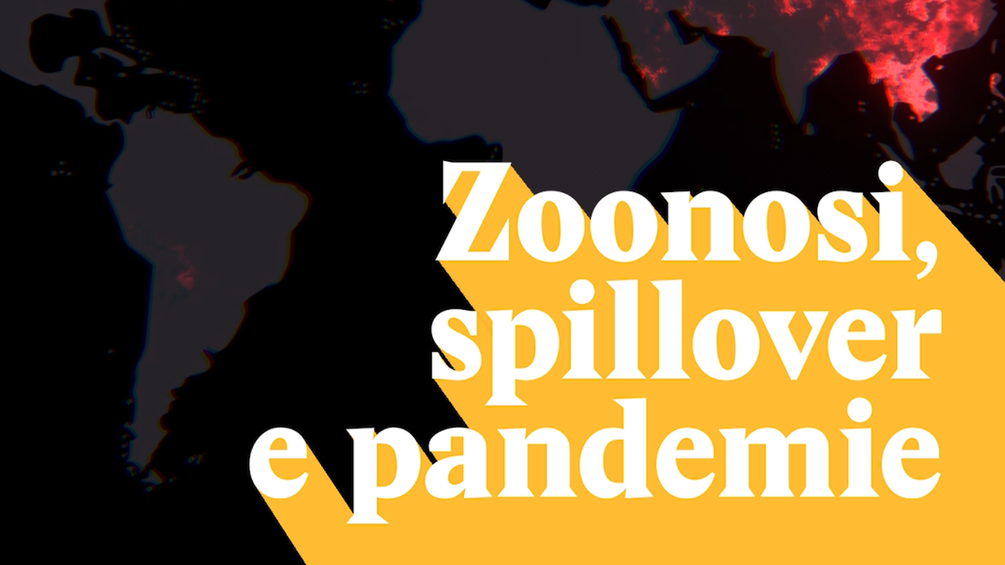 zoonosi