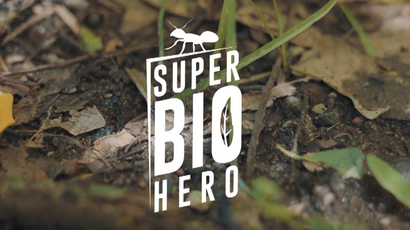 Cervo volante e formiche - Super Bio Hero