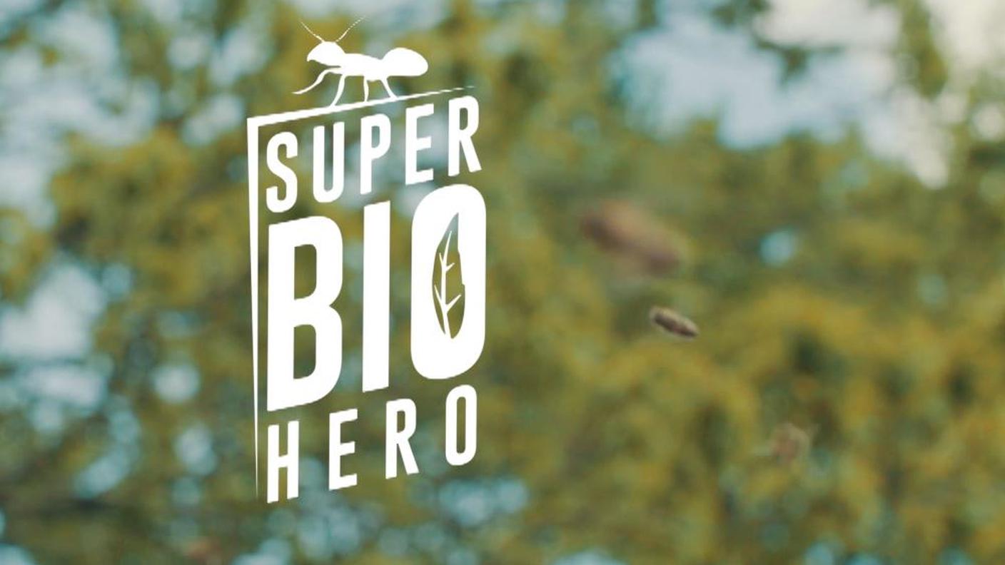 Ape e farfalla - Super Bio Hero