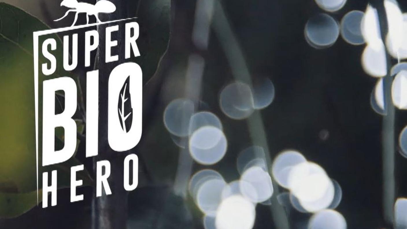 Lombrico - Super Bio Hero
