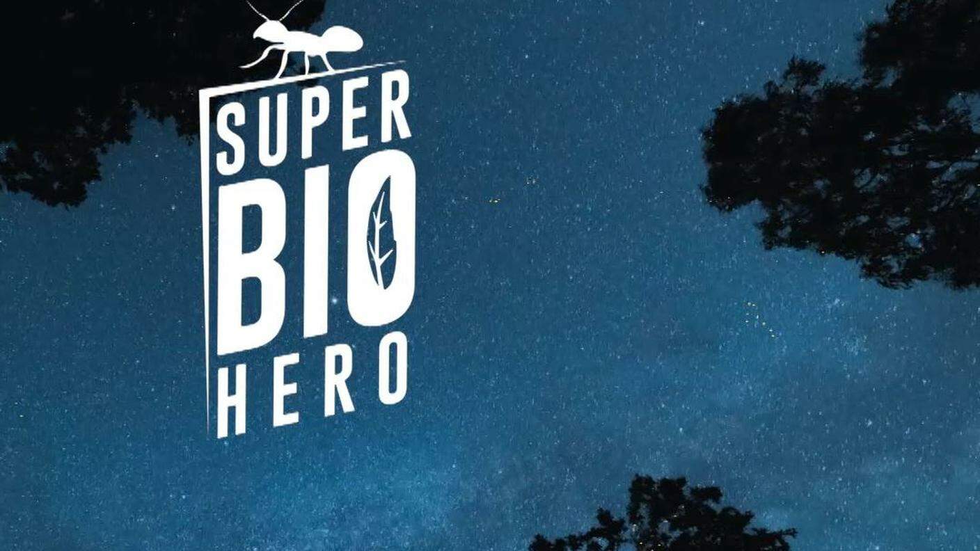 Lucciola e mix di Insetti - Super Bio Hero