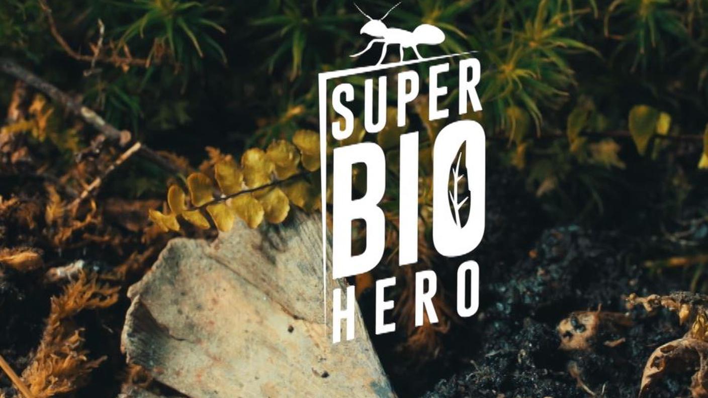 Salamandra - Super Bio Hero