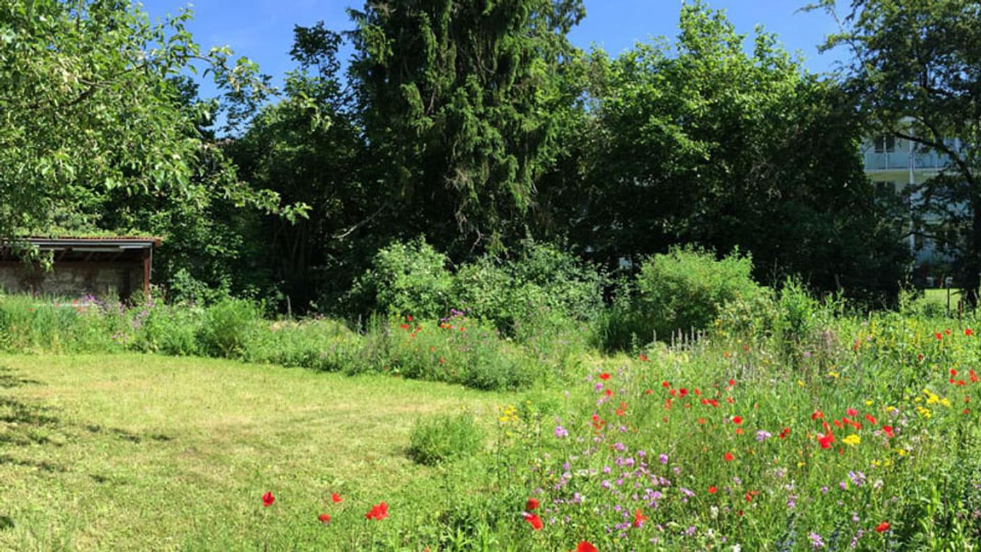 Un giardino naturale significa più biodiversità e meno lavoro!