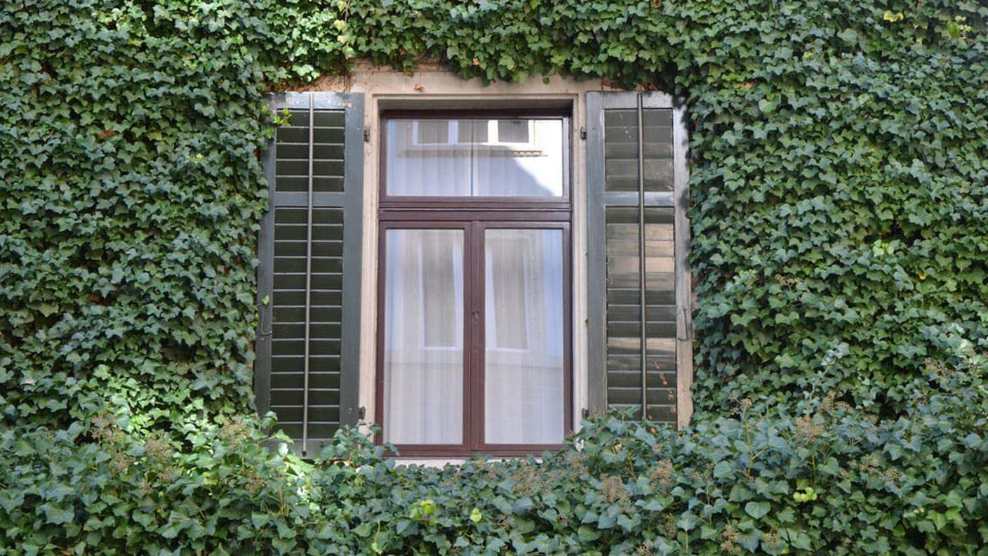 Le facciate verdi contribuiscono a rendere più fresca la casa in estate.