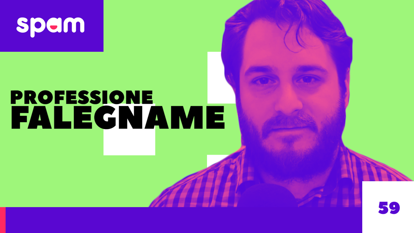 PROFESSIONE FALEGNAME