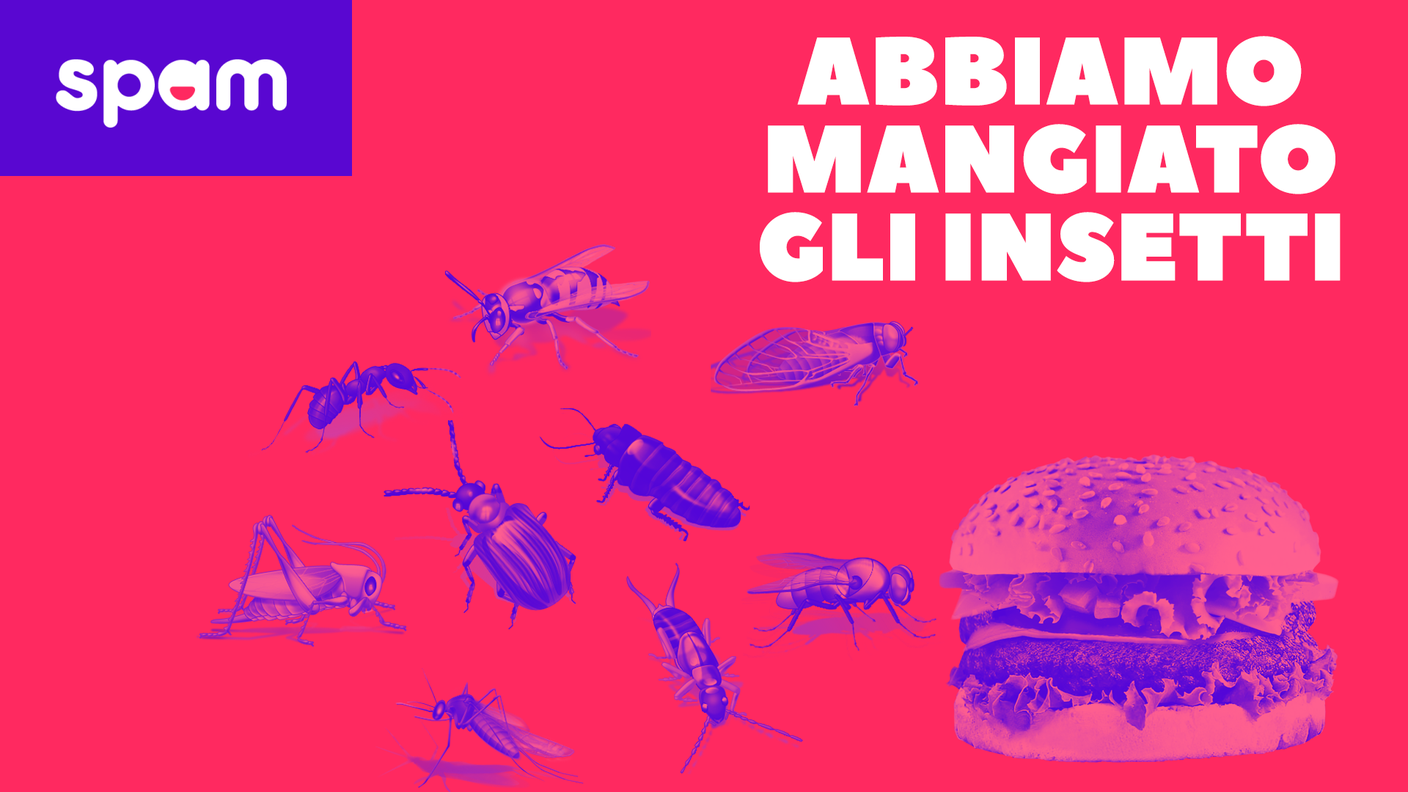 HAMBURGER DI INSETTI