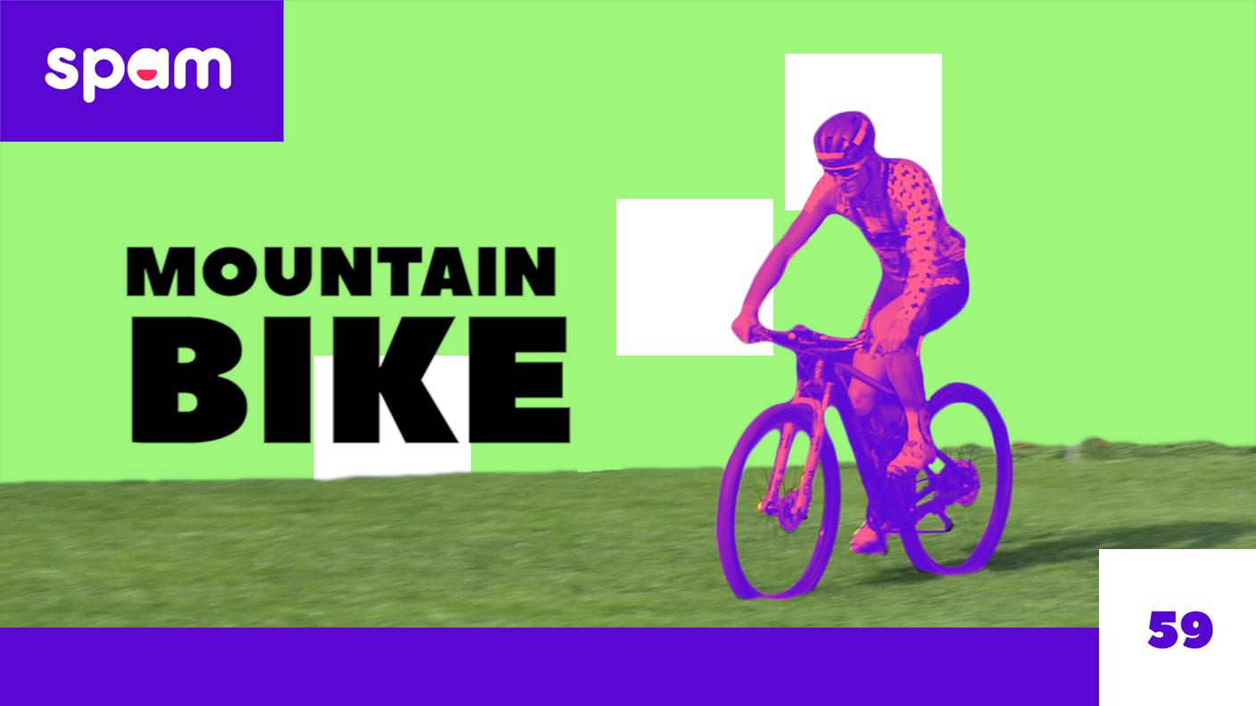 Mountain bike
