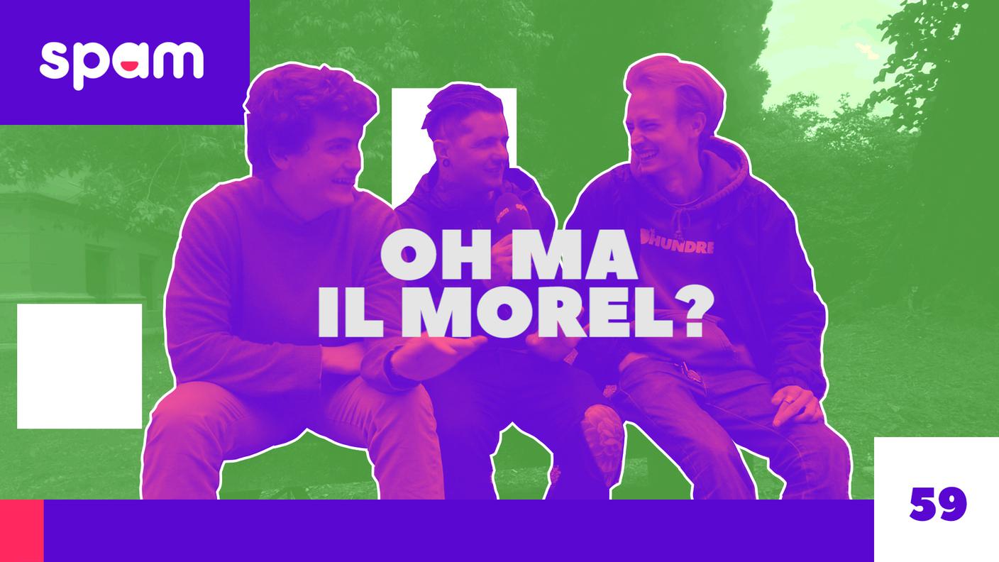 SPAM MOREL