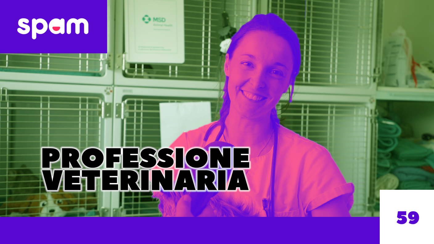 veterinaria