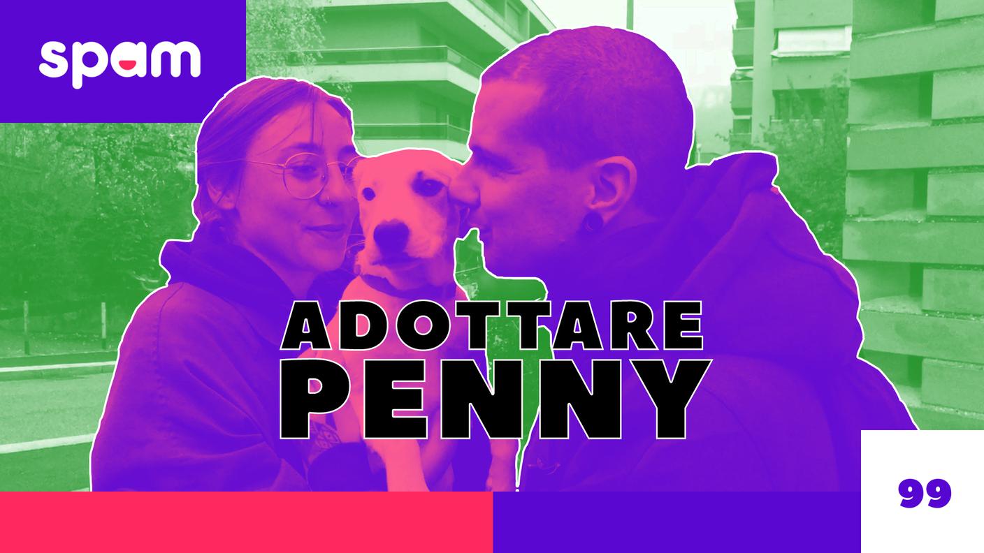 SPAM ADOTTARE PENNY