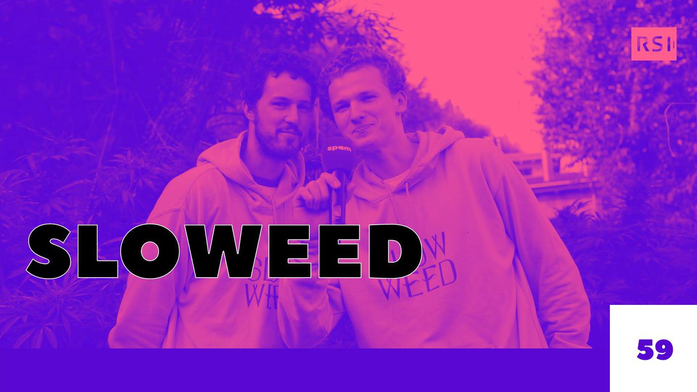 SLOW WEED