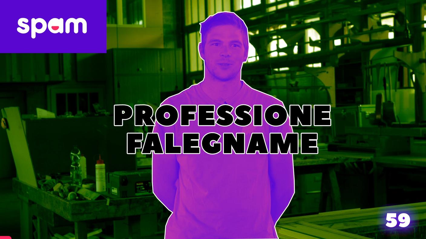 Professione falegname