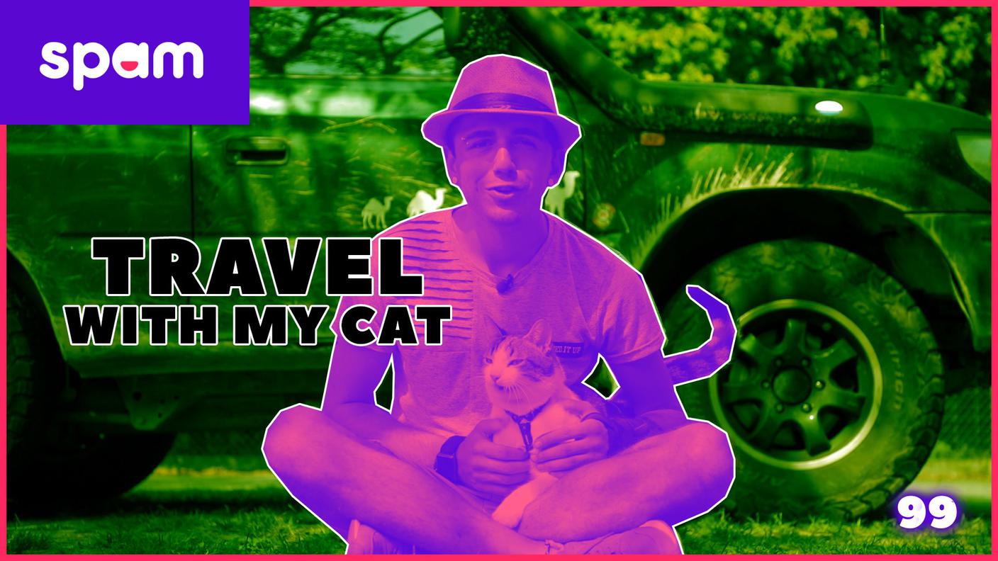 Travel with my cat