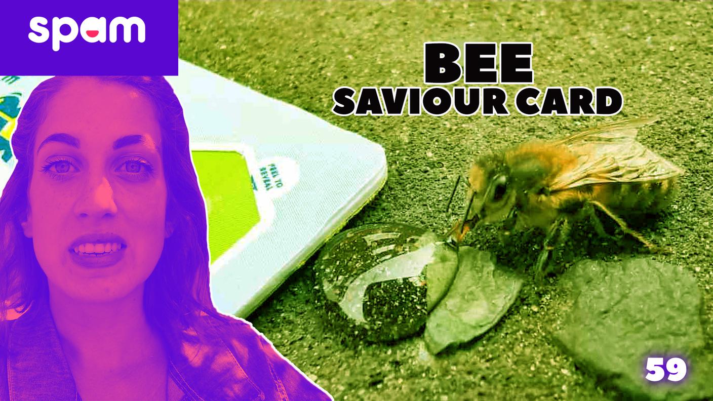 BEE SAVIOUR CARD