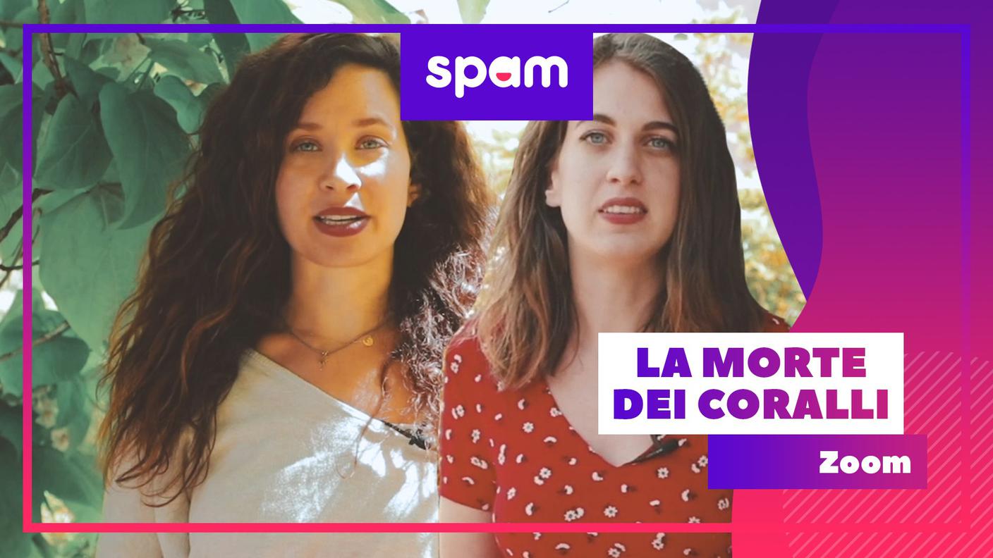 Spam Coralli