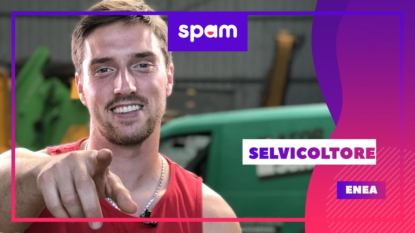 Spam selvicoltore