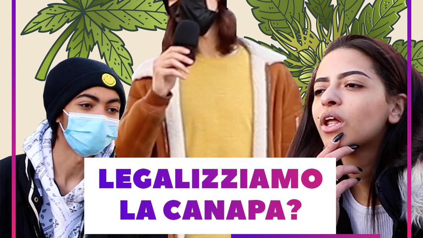 spam canapa