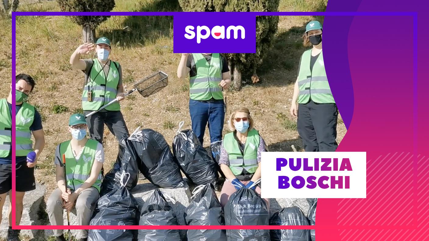 spam boschi
