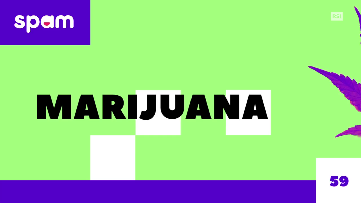 SPAM MARIJUANA 